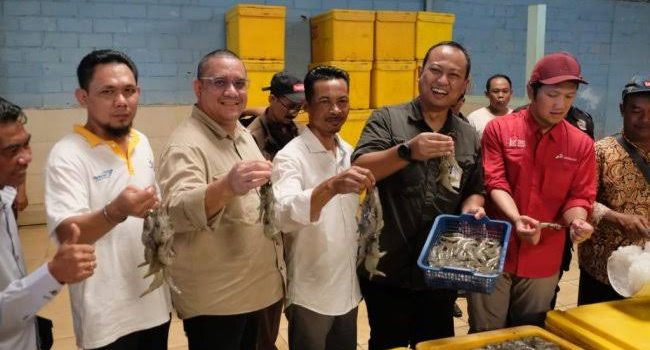 Petambak Udang Binaan Pertamina Dapat Kesempatan Ikuti Sertifikasi