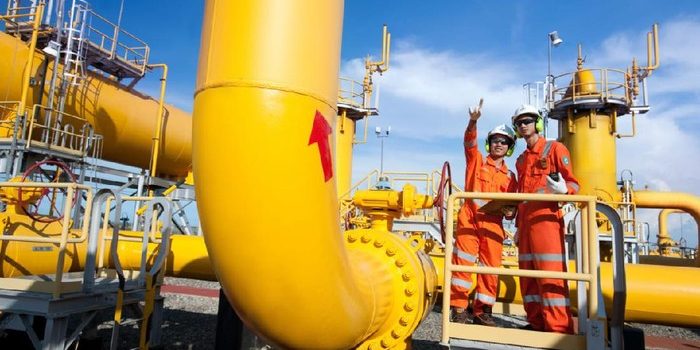 SKK Migas Sebut Sudah Ada 59 LoA Penurunan Harga Gas Industri