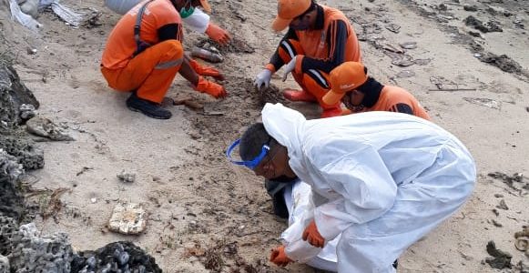 PHE OSES Bantu Bersihkan Ceceran Minyak di Pulau Pari