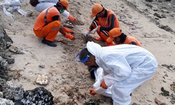 PHE OSES Bantu Bersihkan Ceceran Minyak di Pulau Pari