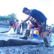 Bumi Dipasena Kembali Panen Berkat Hadirnya Listrik PLN