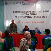 Dorong Peternak Sapi Naik Kelas, Pertamina Beri Pelatihan Bersertifikat