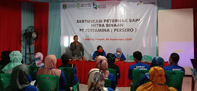 Dorong Peternak Sapi Naik Kelas, Pertamina Beri Pelatihan Bersertifikat