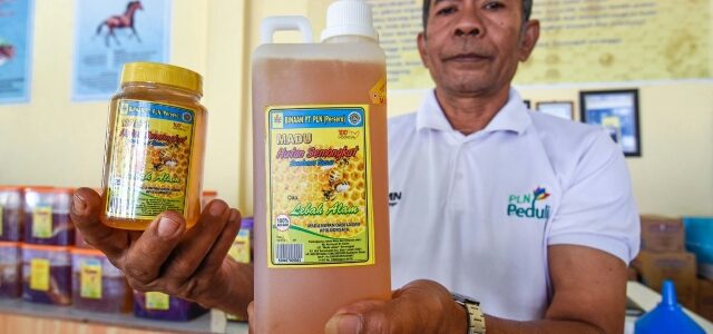 Madu Lestari, Mitra Binaan PLN Go International