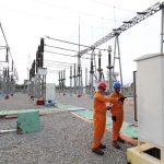 pln dan pertamina inisiasi pembentukan ieei