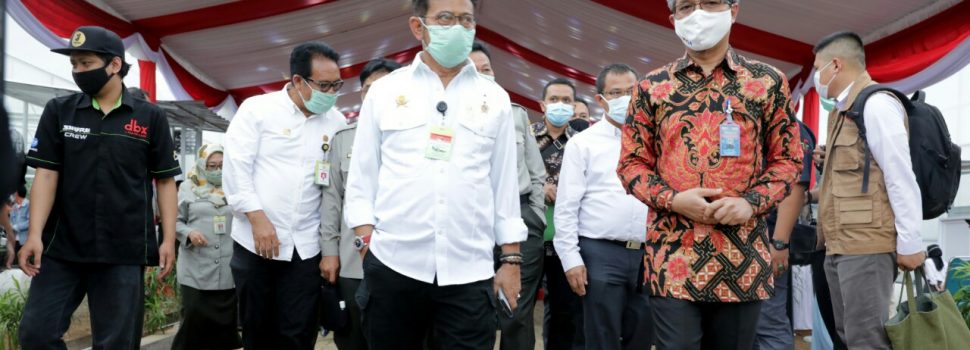 PLN dan Kementan Kembangkan Eduwisata Smart Greenhouse