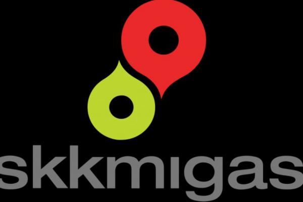 curhat investor soal lembaga pengganti skk migas, yang penting kuat dan sesuai konstitusi