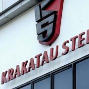 Pemerintah Siap Fasilitasi Proyek Mangkrak Anak Usaha Krakatau Steel