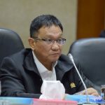 Politisi Partai Hanura, Inas N Zubir