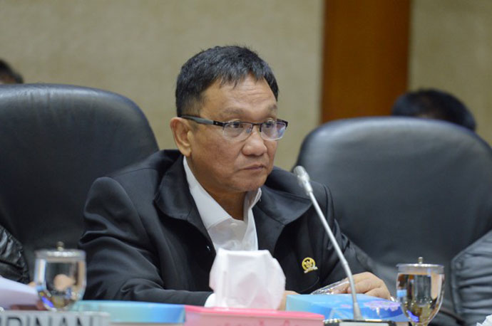 Politisi Partai Hanura, Inas N Zubir