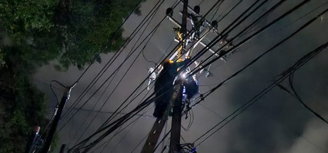 Perlancar Koordinasi Penanganan Pasca Gempa Sulbar, PLN Pasang Telepon Satelit
