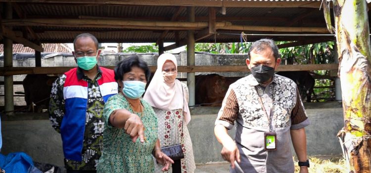 Kembangkan Desa Energi, Pertamina Gandeng Asosiasi Kelompok Wanita Tani