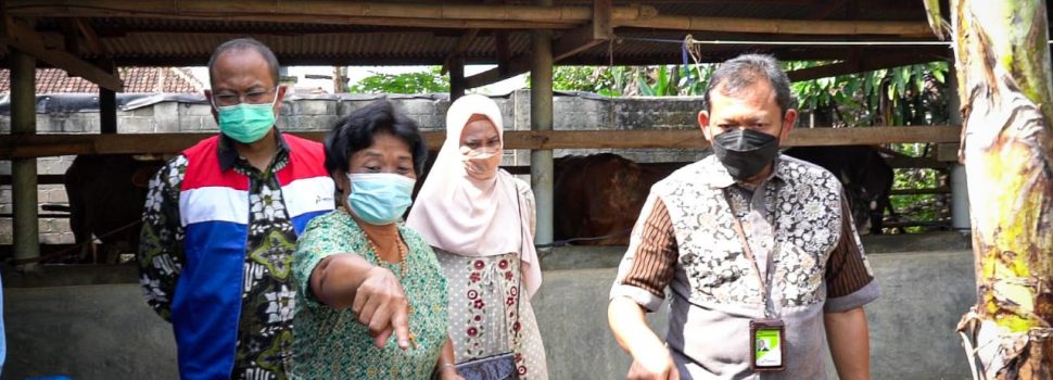 Kembangkan Desa Energi, Pertamina Gandeng Asosiasi Kelompok Wanita Tani