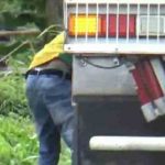 Oknum Pencuri BBM di FT Tuban Ditangkap