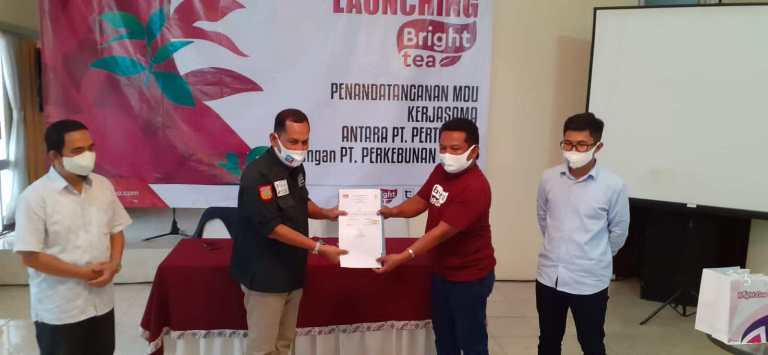 luncurkan produk teh celup khas wonosobo