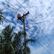 PLN Listriki “Sentra Tambak Udang” di OKI Sum-Sel