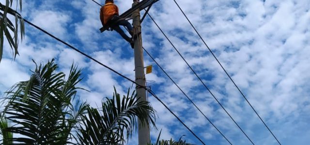 PLN Listriki “Sentra Tambak Udang” di OKI Sum-Sel