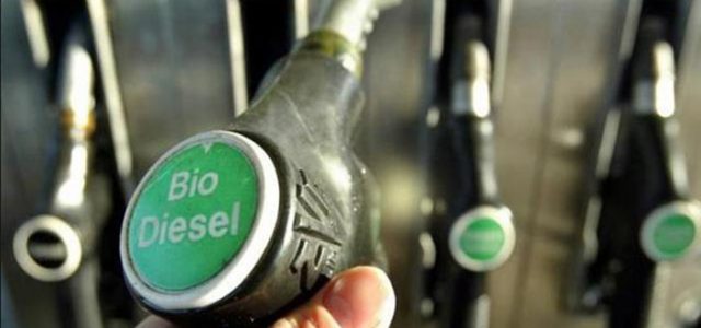 Minyak Jelantah Mampu Penuhi 32 Persen Kebutuhan Biodiesel Nasional