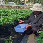 Pertamina Perkuat Komitmen Dukung Perekonomian Mikro Semua Sektor