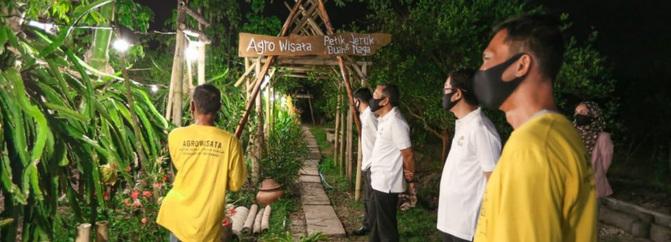 Upaya PLN Dorong Kebangkitan UMKM di Masa Pandemi