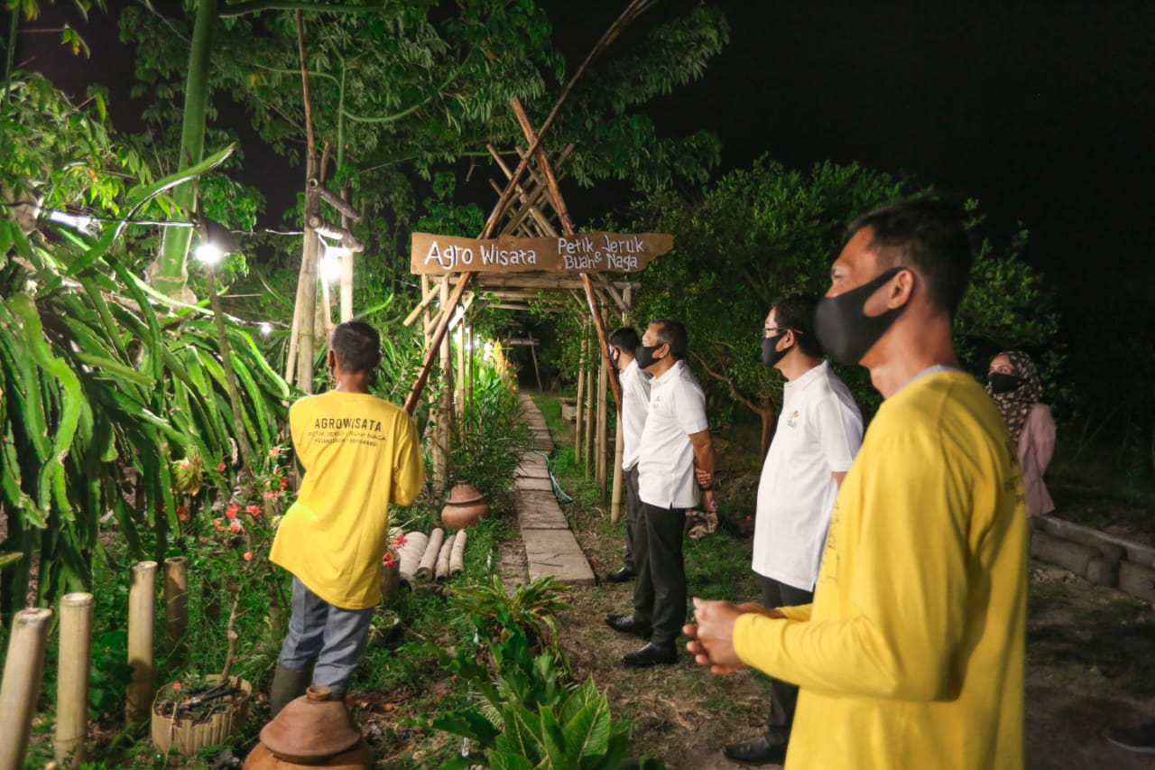 Upaya PLN Dorong Kebangkitan UMKM di Masa Pandemi