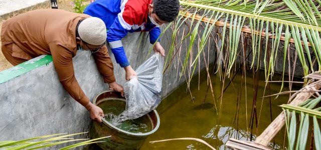 Tingkatkan Kesejahteraan Nelayan Kota Dumai, Pertamina Salurkan 4.500 Bibit Ikan
