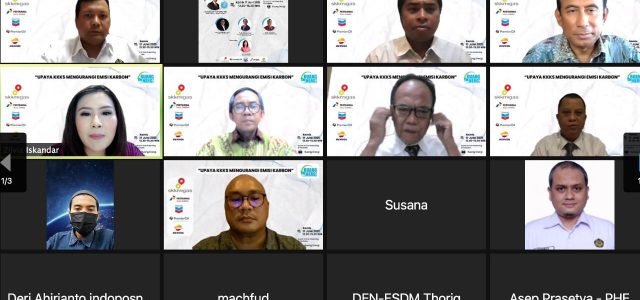 Demi Kelestarian Alam, DEN Akui Perlu Penerapan Pajak Karbon
