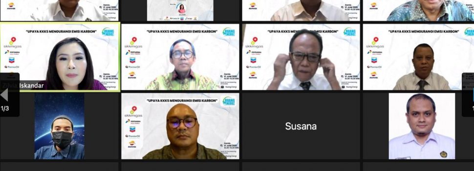 Demi Kelestarian Alam, DEN Akui Perlu Penerapan Pajak Karbon