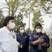 Sinergi dengan KLHK, Indonesia Power Lakukan Pelepasliaran Satwa Elang
