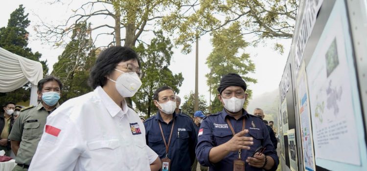 Sinergi dengan KLHK, Indonesia Power Lakukan Pelepasliaran Satwa Elang