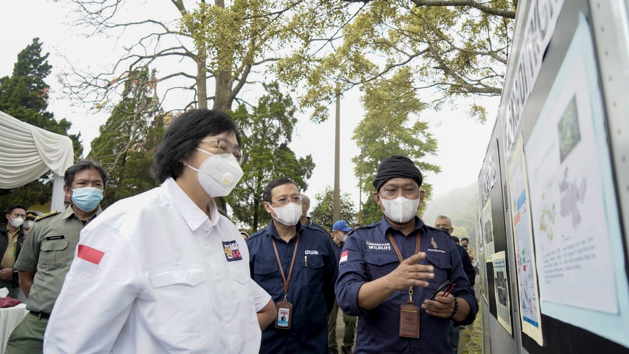 Sinergi dengan KLHK, Indonesia Power Lakukan Pelepasliaran Satwa Elang