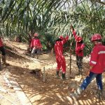 Elnusa Sukses Rampungkan Ekslporasi Survei 2D di Kaltim