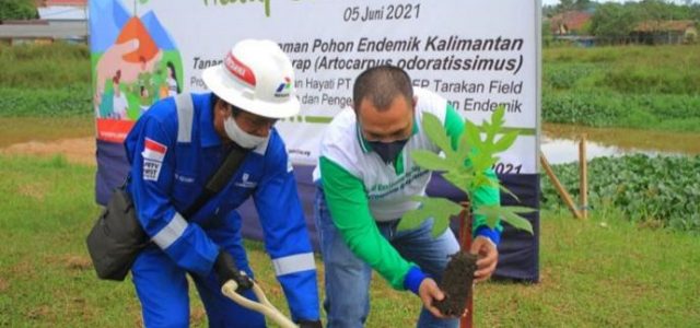 Peringati Hari Lingkungan Hidup, PEP Tarakan Lakukan Program CSR Ini