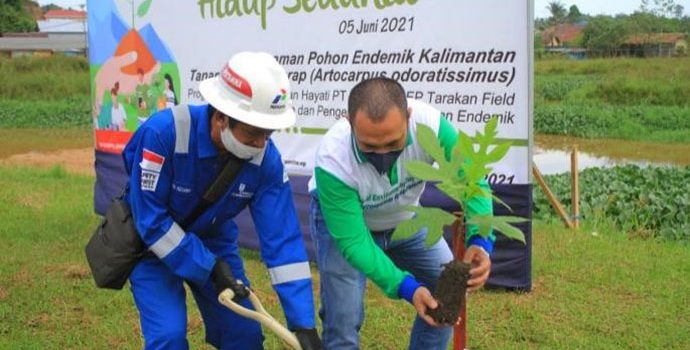 Peringati Hari Lingkungan Hidup, PEP Tarakan Lakukan Program CSR Ini