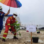 Kepala SKKMIGAS Berharap Gas On-Stream Segera Terwujud