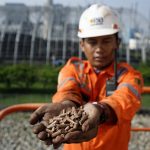 Dari Co-Firing, PLN Hasilkan Energi Hijau Setara 189 MW