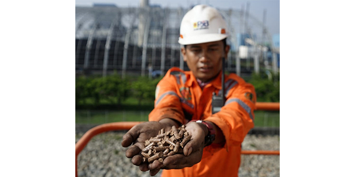 Dari Co-Firing, PLN Hasilkan Energi Hijau Setara 189 MW