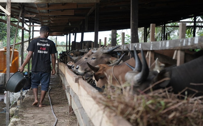 pertamina targetkan 645 umk naik kelas lewat ajang umk academy 2021