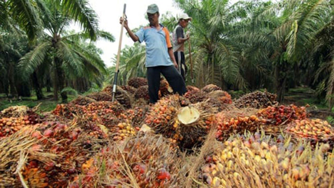Industri Sawit Jadi Sektor Prioritas Pemerintah