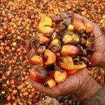 HPE CPO Agustus 2021