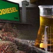 Benarkah Biodiesel Sawit Jadikan Indonesia Produsen Energi Terbarukan