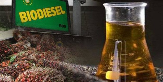 Benarkah Biodiesel Sawit Jadikan Indonesia Produsen Energi Terbarukan