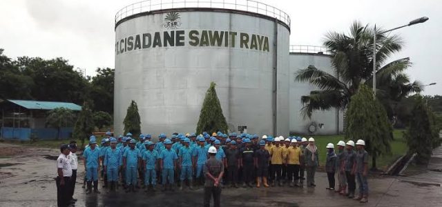 Untuk Refinancing, Perusahaan Sawit Ini Dapat Pinjaman Dari Mandiri