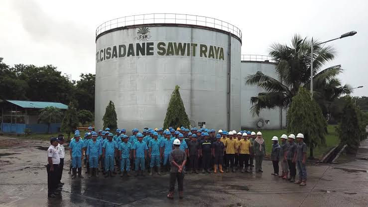 PT Cisadane Sawit Raya