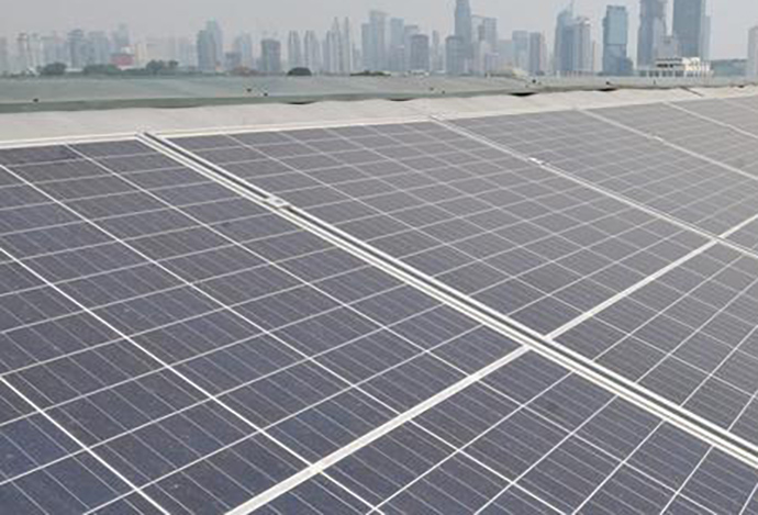 PLN Ungkap Empat Proyek Energi Hijau Siap Beroperasi di 2025, Apa Saja?