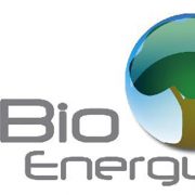 Capai Target Bauran Energi, Bioenergi Bisa Gantikan Peran Migas dan Batubara