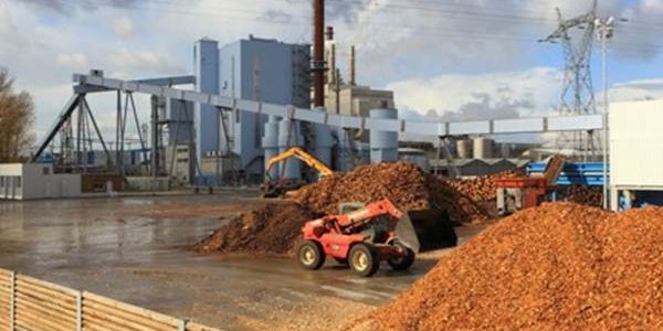 Turunkan Emisi Gas Rumah Kaca, PLN Lakukan Teknologi Co-Firing Biomassa