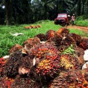 Indonesia Bakal Jadi Kiblat Hilirisasi Industri Kelapa Sawit