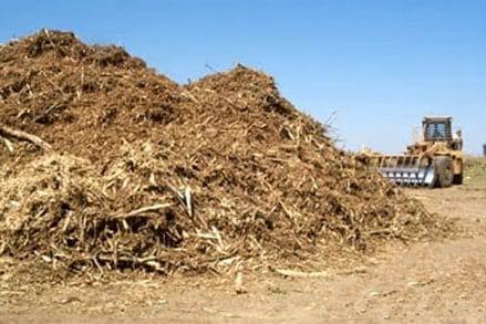 Mampu Serap Tenaga Kerja 12 Juta Orang, Potensi Biomassa Indonesia Capai 32,6 GW