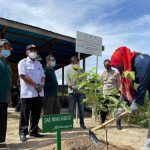 Dukung Penyerapan Karbon, SKK Migas Canangkan Penanaman 1,7 Juta Pohon